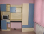 СЕКЦИЯ ПДЧ